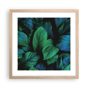 Poster în ramă de stejar deschis - Traficul verde - 40x40 cm