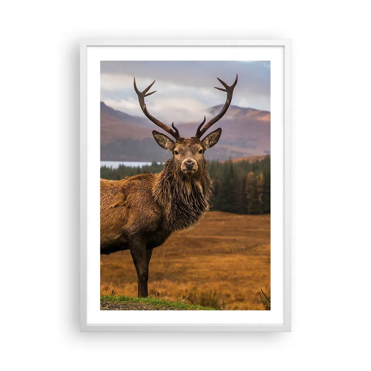 Poster în ramă albă - Măreția naturii - 50x70 cm