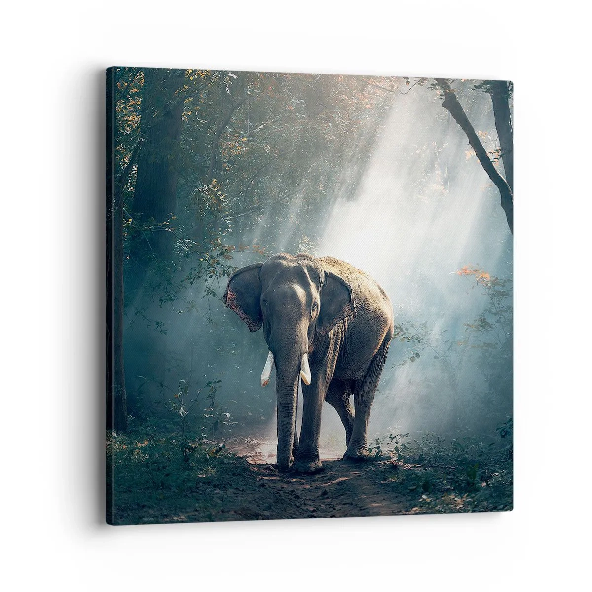 Tablou pe pânză - O plimbare liniștită - 40x40 cm