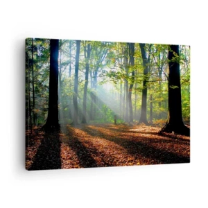 Tablou pe pânză Canvas - O poiană de pădure luminată de razele soarelui - 70x50cm - Străluciri și umbre - Decorațiune modernă pentru perete pentru living și dormitor ARTTOR