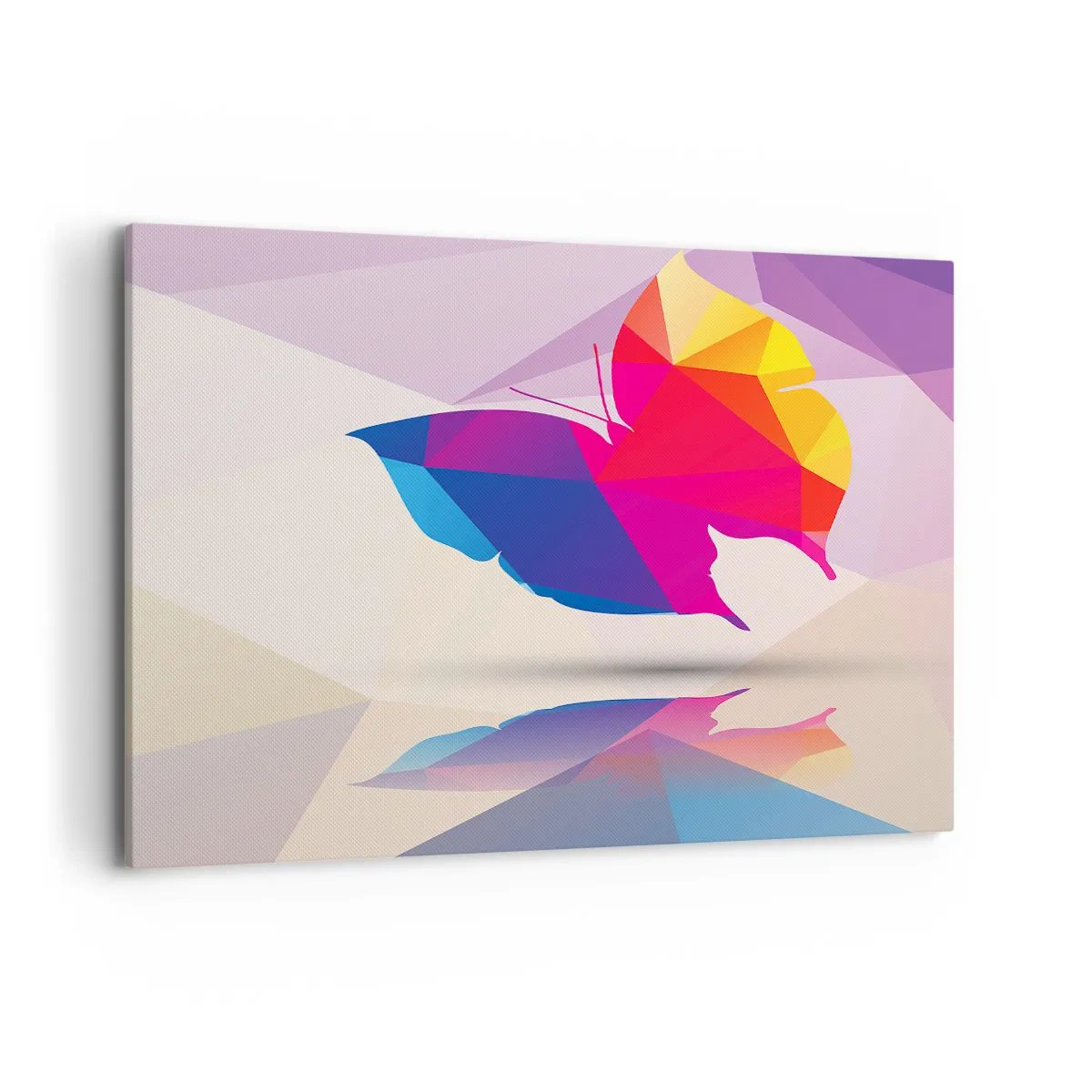 Tablou pe pânză - Curcubeu de fluture - 100x70 cm