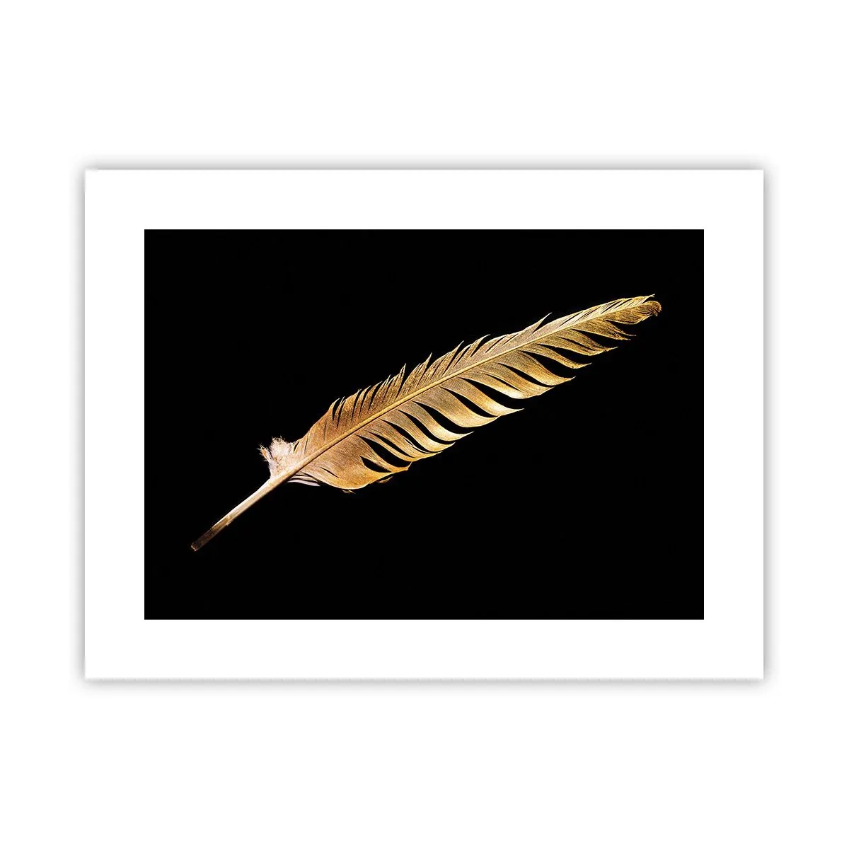 Poster - Pană aurie perfectă - 40x30 cm