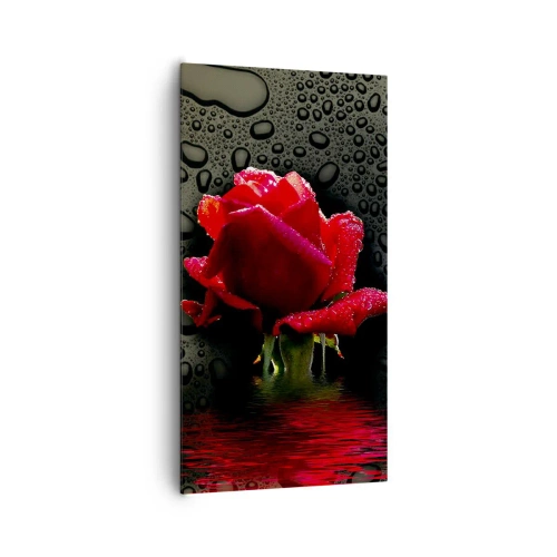 Tablou pe pânză - Roșu și negru - 65x120 cm