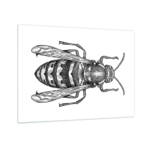 Tablou pe sticlă - Ilustrație retro alb-negru a unei viespi pe fundal alb - 70x50cm - De pe o planetă de insecte - Decorațiune modernă pentru perete pentru living și dormitor ARTTOR
