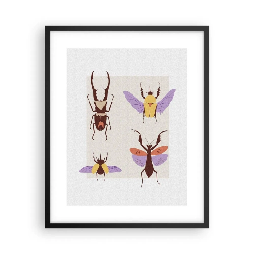 Poster în ramă neagră - Lumea insectelor - 40x50 cm