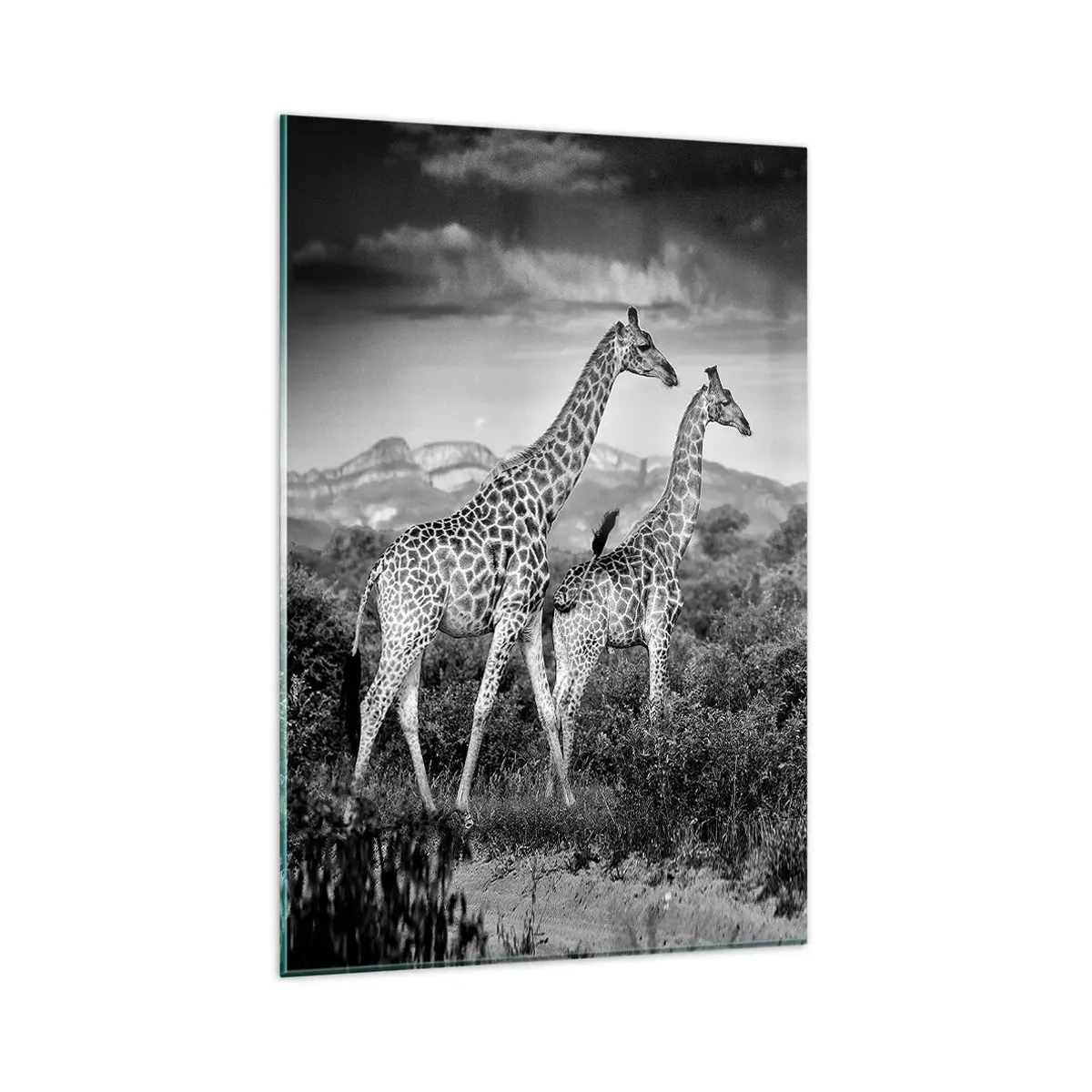 Tablou pe sticlă - Clasele superioare din Africa - 80x120 cm