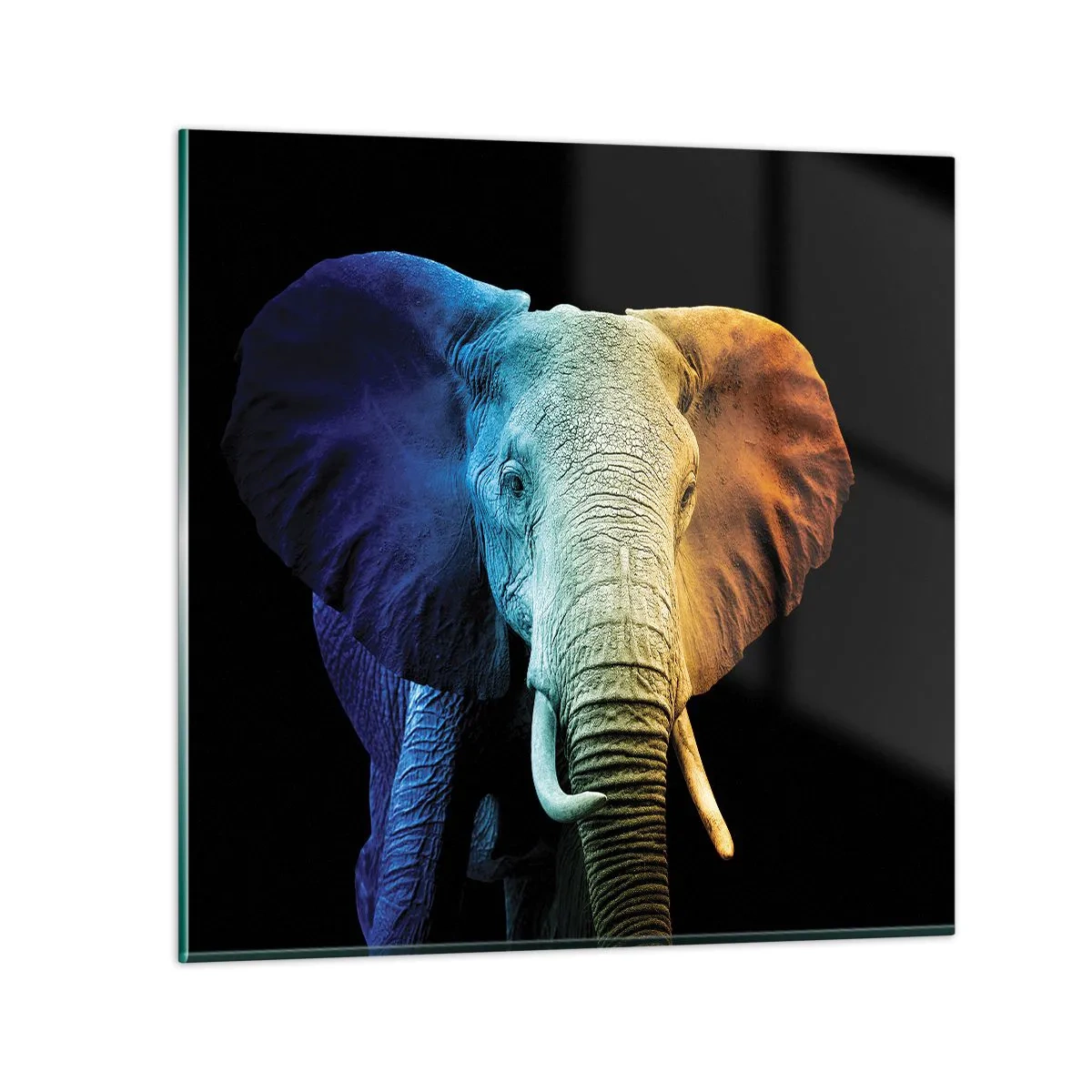 Tablou pe sticlă - Excentric, nu ciudat - 40x40 cm