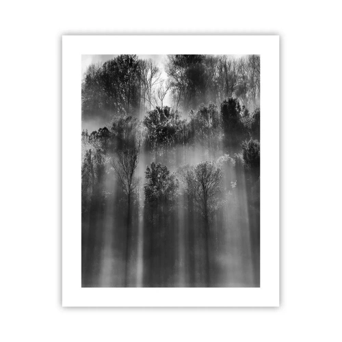 Poster - În fluxuri de lumină - 40x50 cm