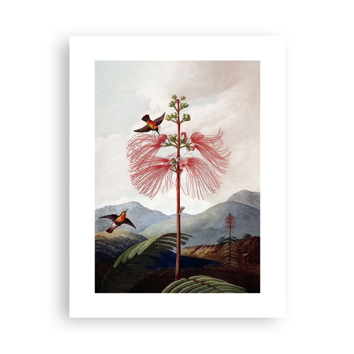 Poster - Într-un paradis tropical - 30x40 cm