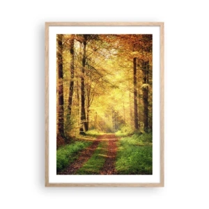Poster în ramă de stejar deschis - Tăcere de aur de pădure - 50x70 cm