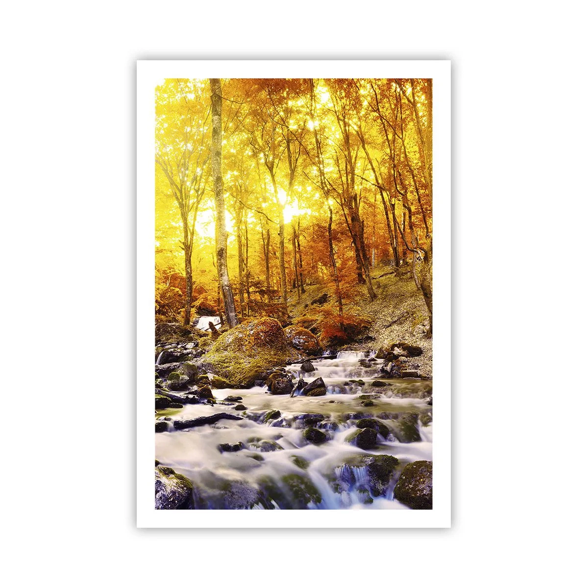 Poster - Pietre montate în aur și platină - 61x91 cm