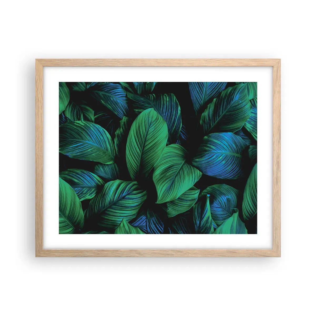 Poster în ramă de stejar deschis - Traficul verde - 50x40 cm