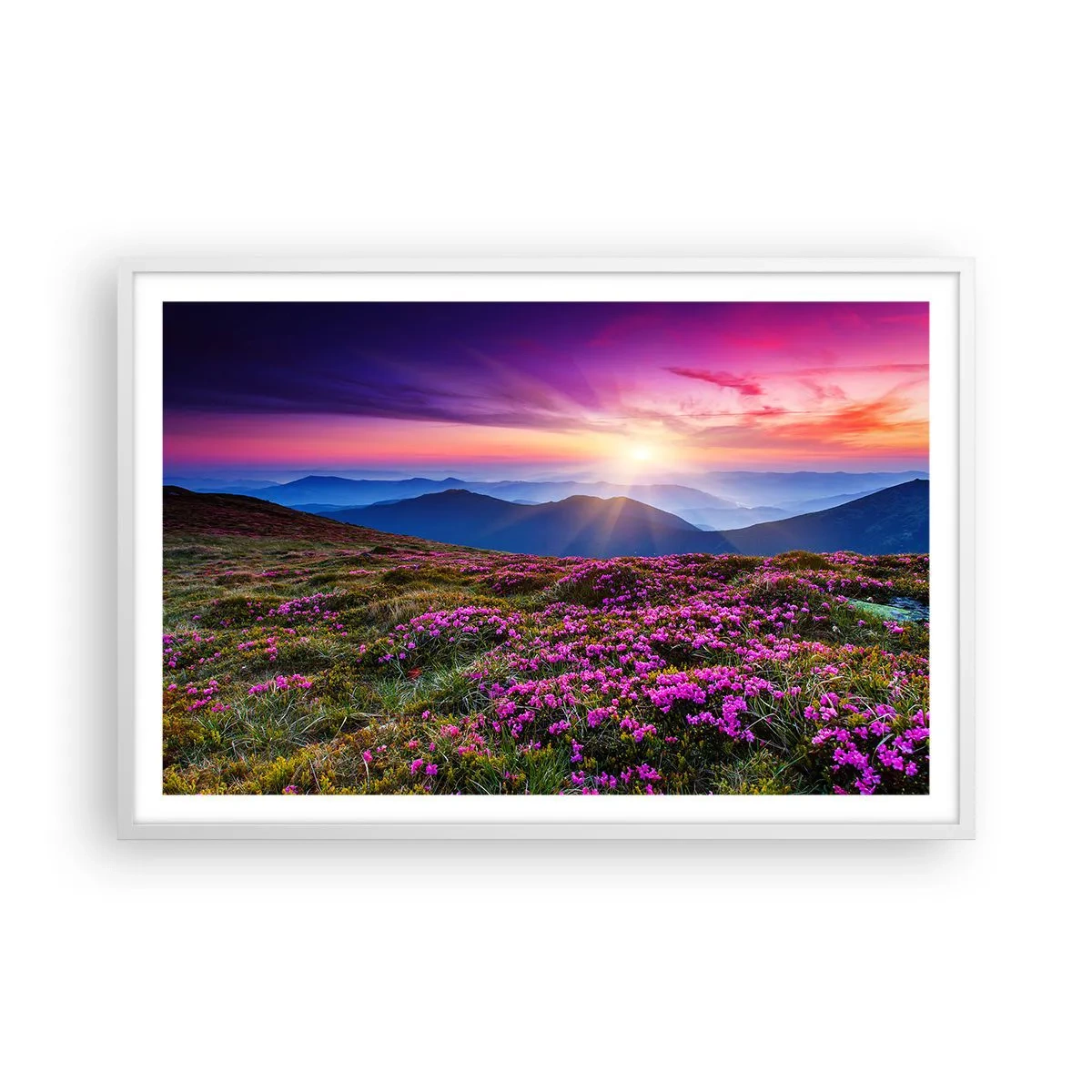Poster în ramă albă - Ierburile proaspete miroseau puternic - 91x61 cm