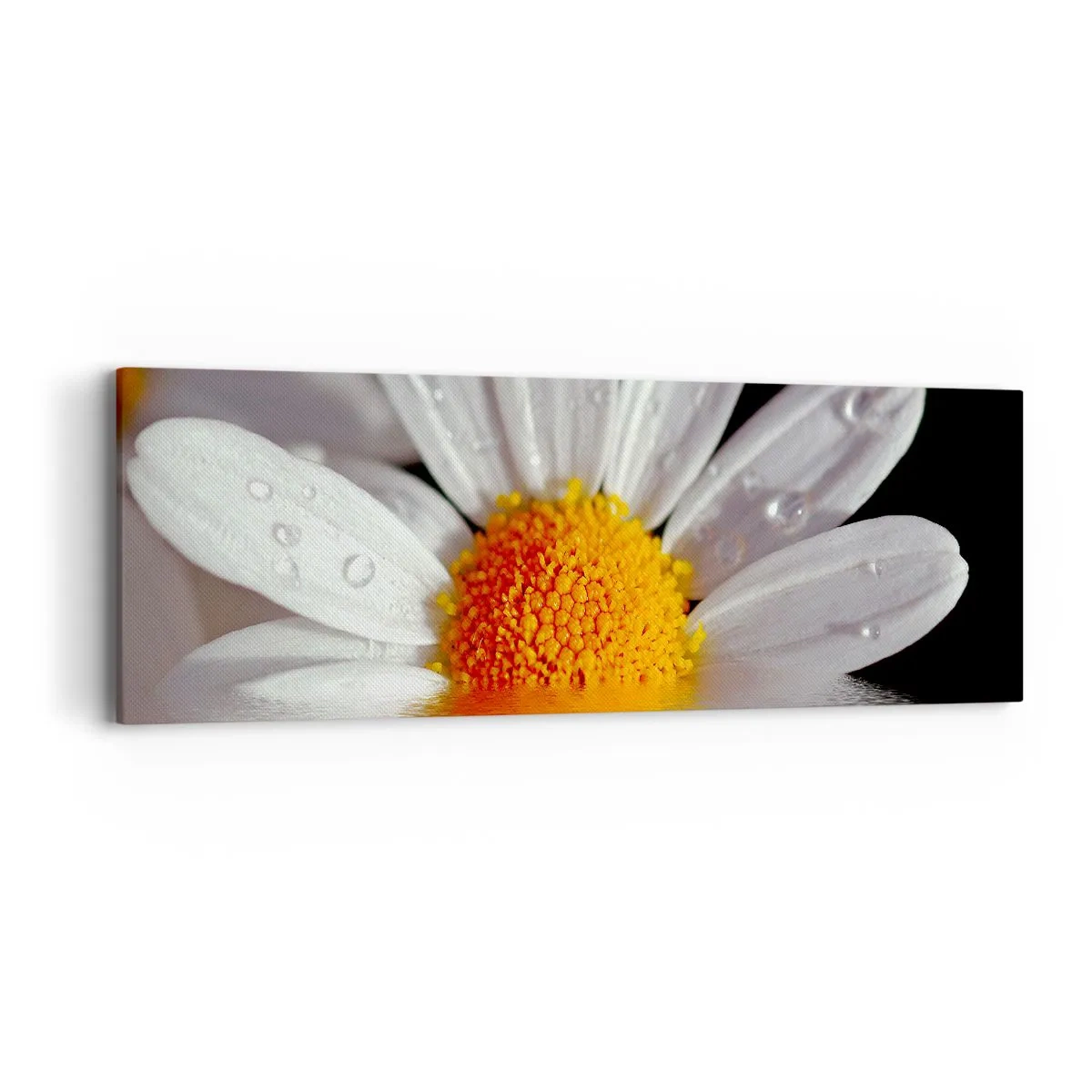 Tablou pe pânză - Răsăritul soarelui al Margaretei - 90x30 cm