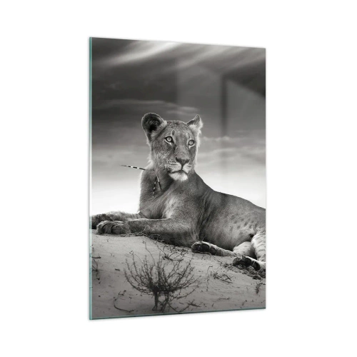 Tablou pe sticlă - Odihna reginei deșertului - 50x70 cm