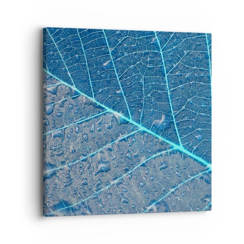 Tablou pe pânză - Viața în albastru - 30x30 cm