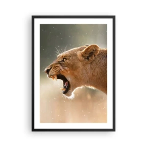 Poster în ramă neagră - Prim-plan al unei leoaice furioase în plină mișcare - 50x70cm - Încearcă să nu asculți - Decorațiune modernă pentru perete pentru living și dormitor ARTTOR
