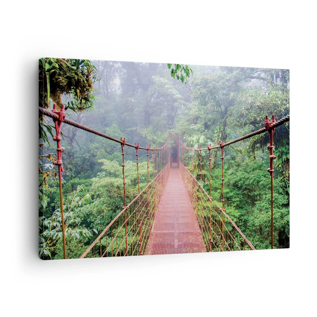 Tablou pe pânză Canvas - Un pod suspendat într-o junglă tropicală înconjurat de ceață - 70x50cm - Suspendat deasupra coroanelor arborilor - Decorațiune modernă pentru perete pentru living și dormitor ARTTOR