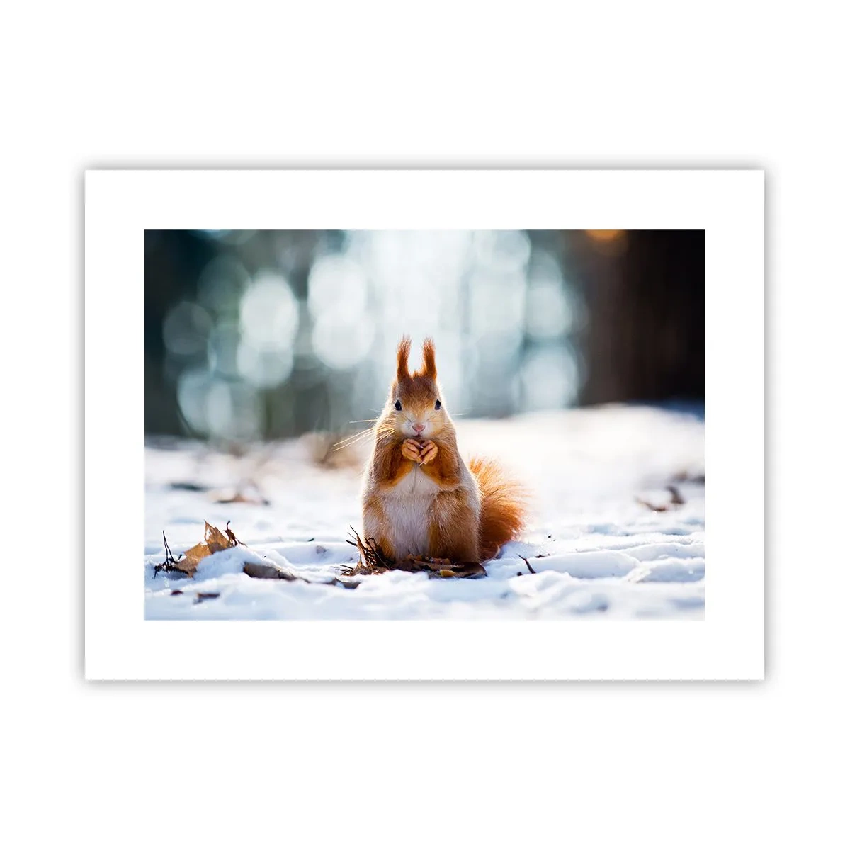 Poster - Și la ce te uiți? - 40x30 cm