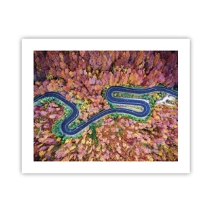 Poster - Un drum șerpuit prin pădure - 50x40 cm