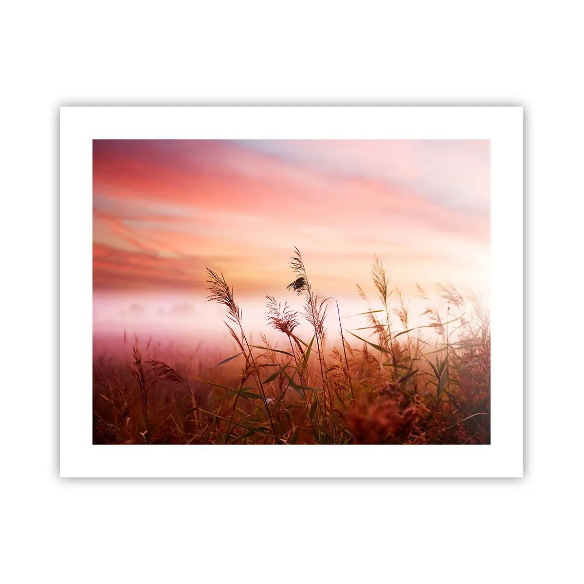 Poster - Zmeuri, suflante, vânt - 50x40 cm