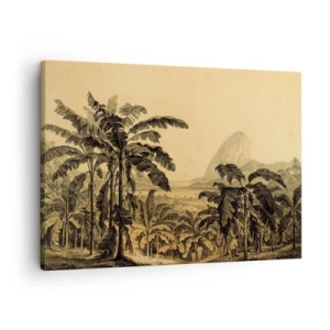 Tablou pe pânză Canvas - Desen de bananieri pe fundalul unui peisaj tropical - 70x50cm - În stil colonial - Decorațiune modernă pentru perete pentru living și dormitor ARTTOR