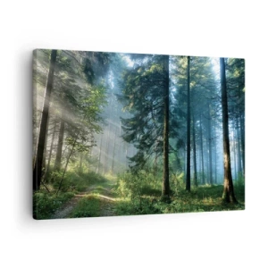 Tablou pe pânză Canvas - O cărare de pădure luminată de razele soarelui de dimineață - 70x50cm - Strălucirea de dimineață - Decorațiune modernă pentru perete pentru living și dormitor ARTTOR