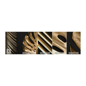 Mostră tapet Premium Sand - Diferite și la fel de scumpe - Frunza de palmier, Frunza de monstera, Abstracția - 100x30 cm