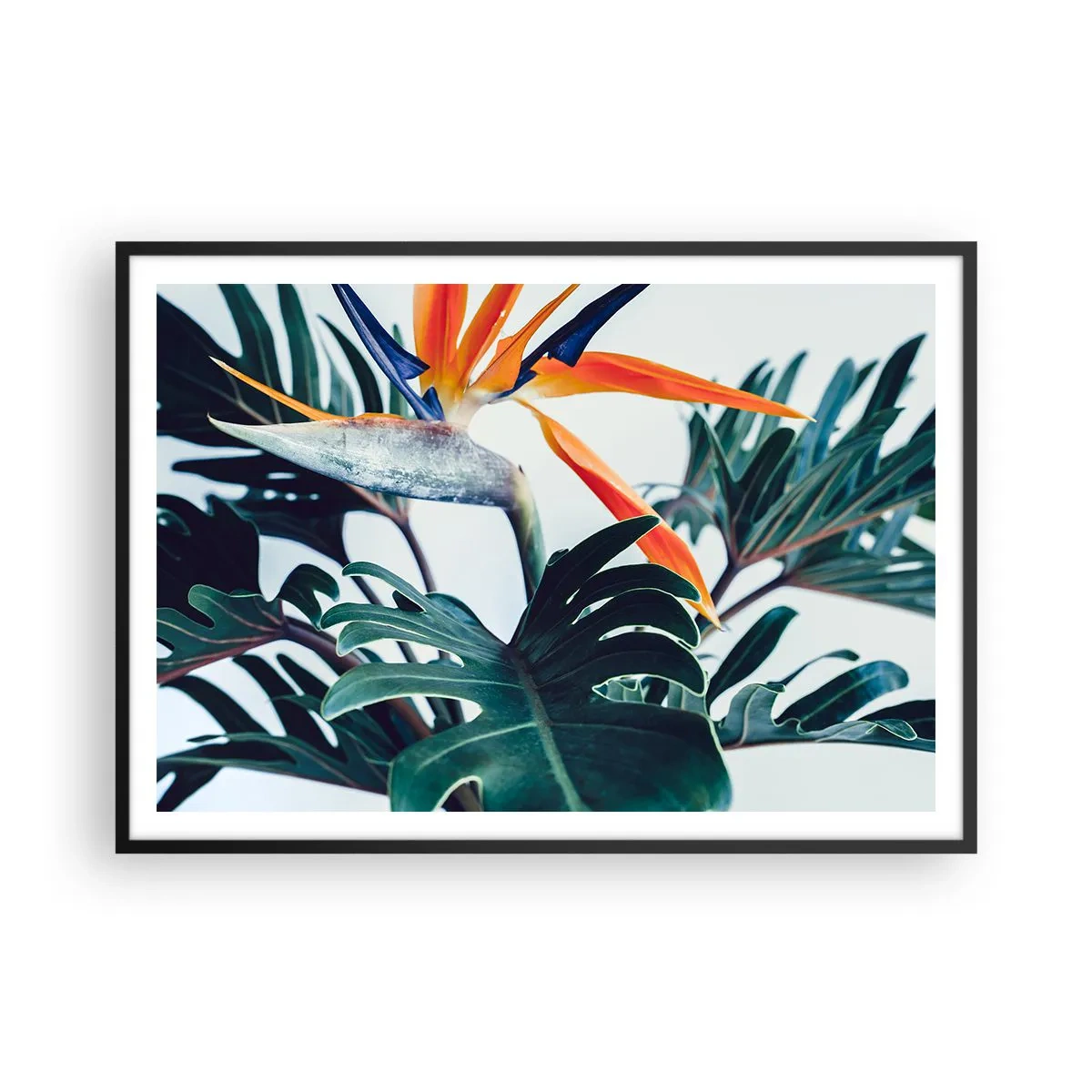 Poster în ramă neagră - Tufiș sau pasăre? - 100x70 cm