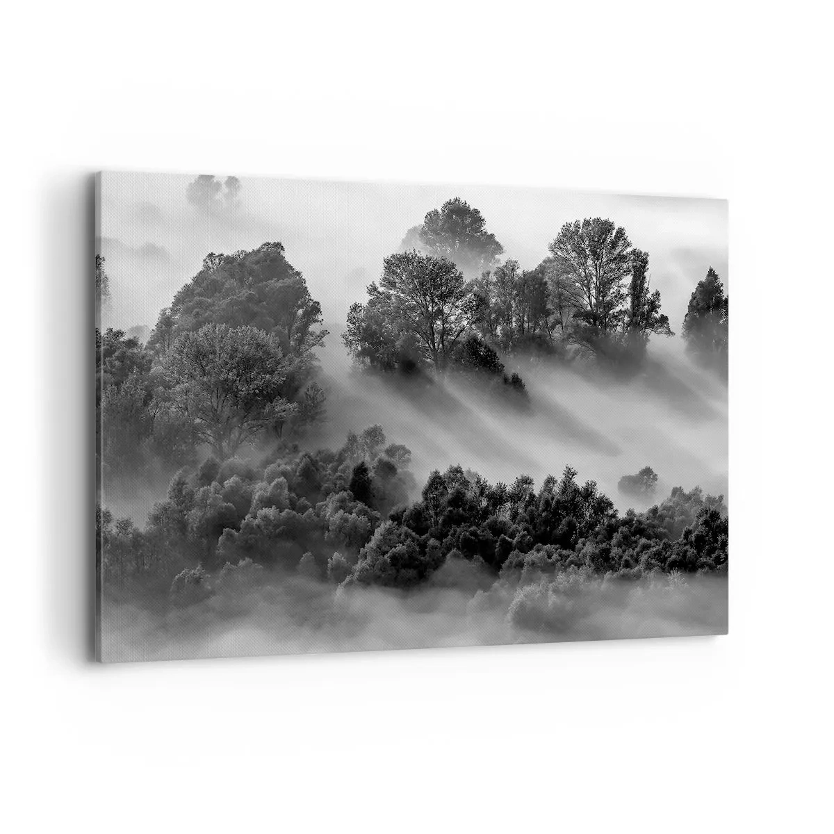 Tablou pe pânză - Trezindu-se din somn - 120x80 cm