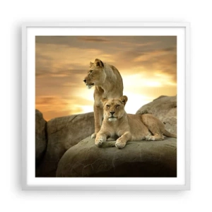 Poster în ramă albă - Maiestate regală - 60x60 cm