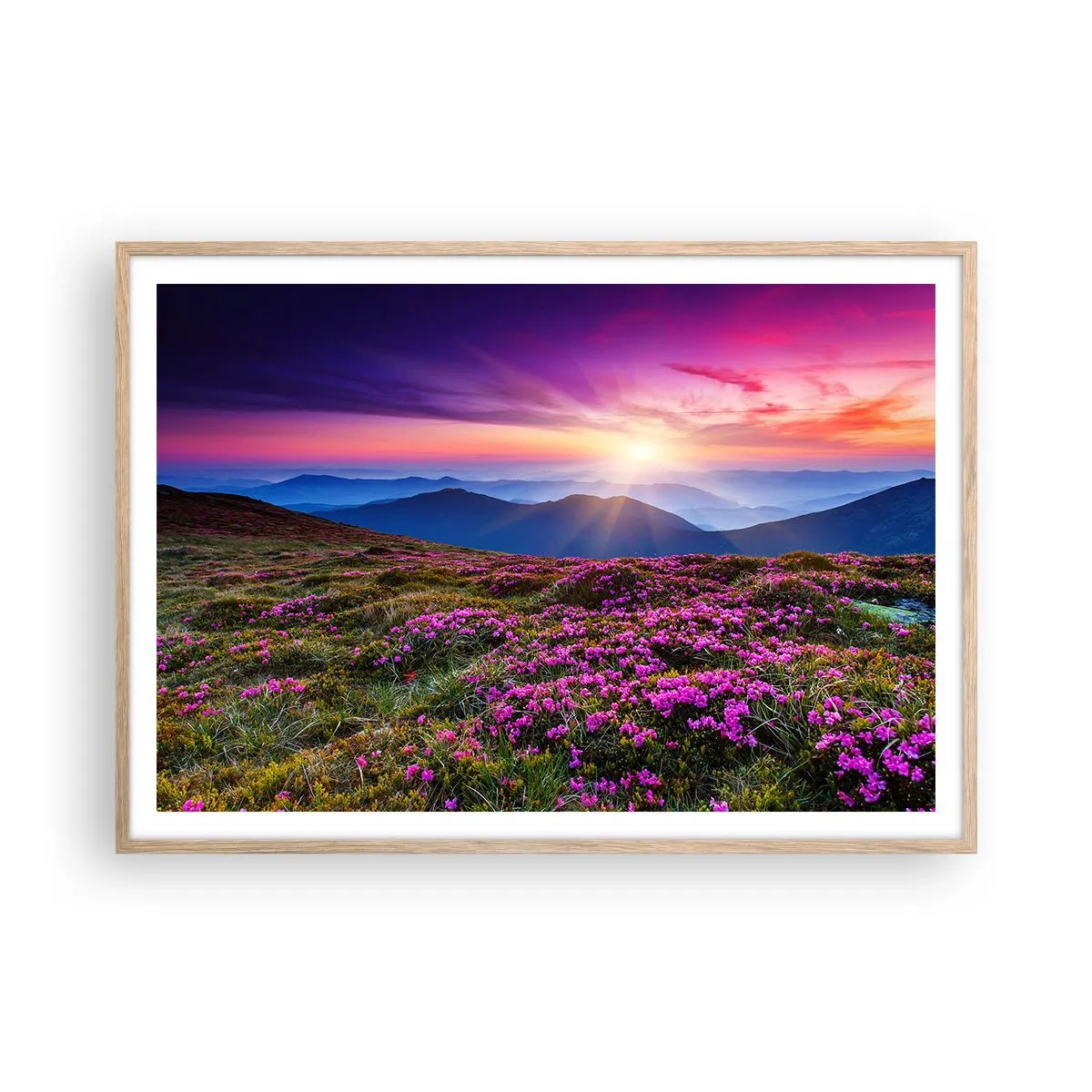 Poster în ramă de stejar deschis - Ierburile proaspete miroseau puternic - 100x70 cm