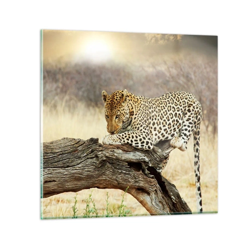 Tablou pe sticlă - Mă duc pe drumul meu - 60x60 cm