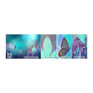 Mostră tapet autocolant Deluxe Sticker - Viața secretă a luncii - Fluture, luncă, Bucată - 100x30 cm