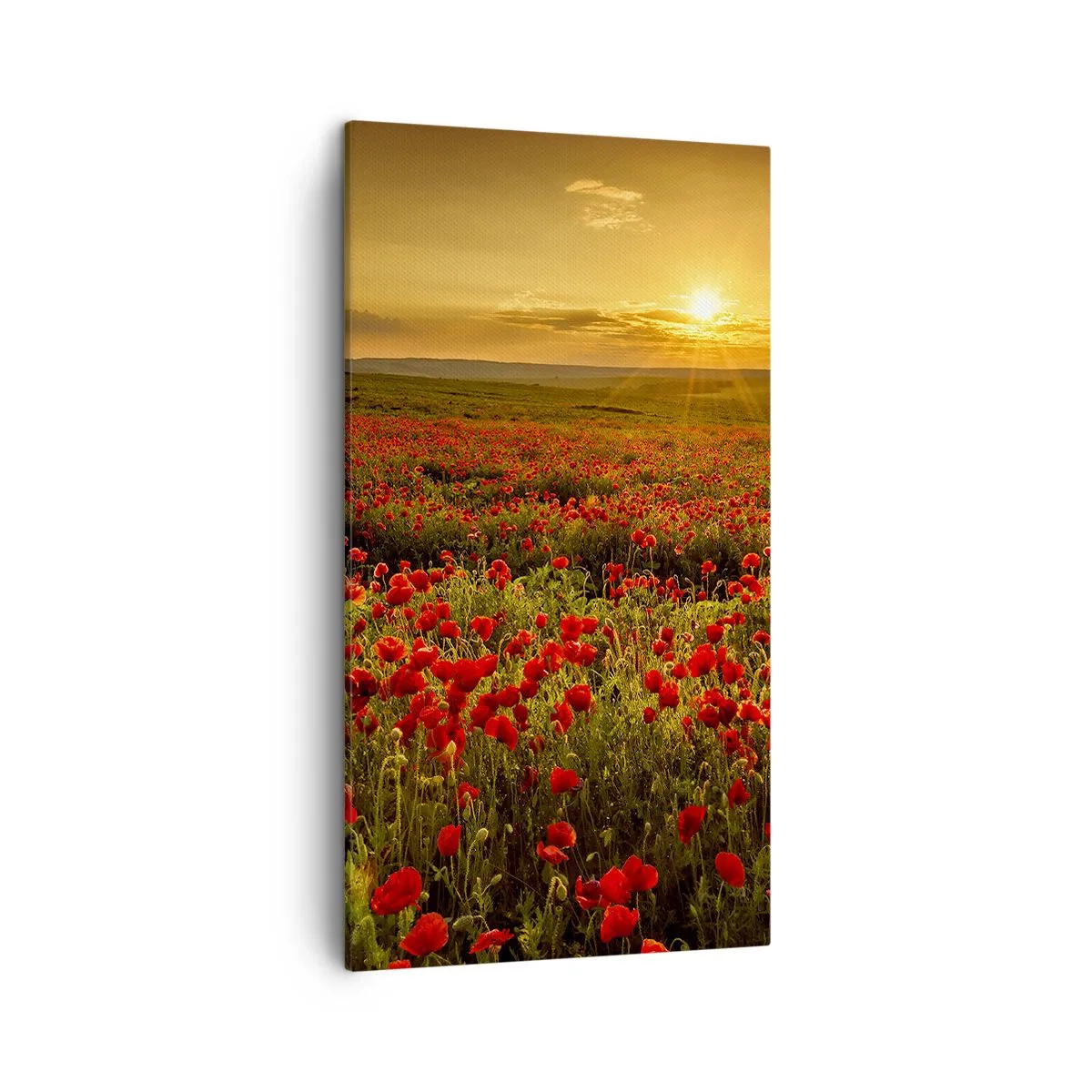 Tablou pe pânză - Printre valuri de pajiști care zumzăie, printre potop de flori - 45x80 cm