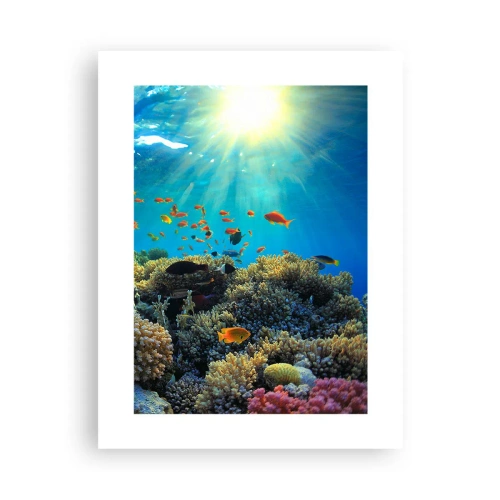 Poster - Comori subacvatice - 30x40 cm