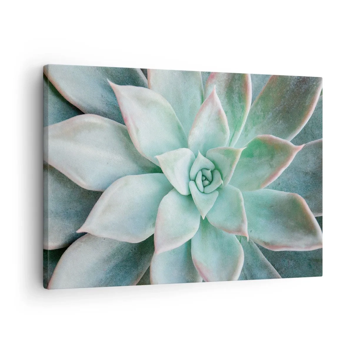 Tablou pe pânză Canvas - Prim-plan al unei suculente verzi - 70x50cm - Inima deșertului - Decorațiune modernă pentru perete pentru living și dormitor ARTTOR