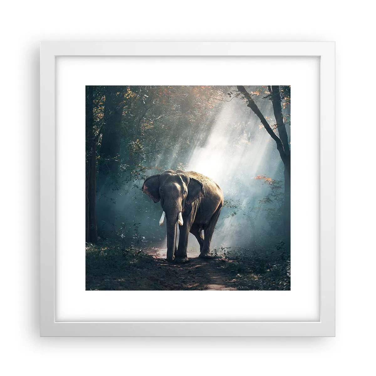 Poster în ramă albă - O plimbare liniștită - 30x30 cm