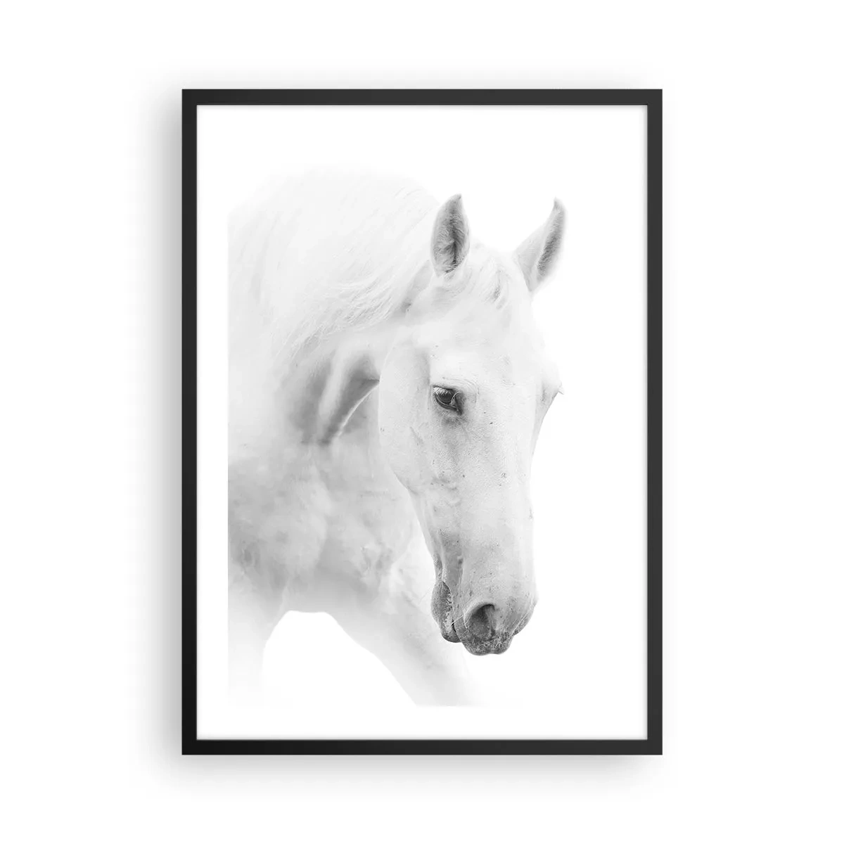 Poster în ramă neagră - Portretul unui cal alb într-un stil minimalist - 50x70cm - Este aceasta o prietenie...? - Decorațiune modernă pentru perete pentru living și dormitor ARTTOR