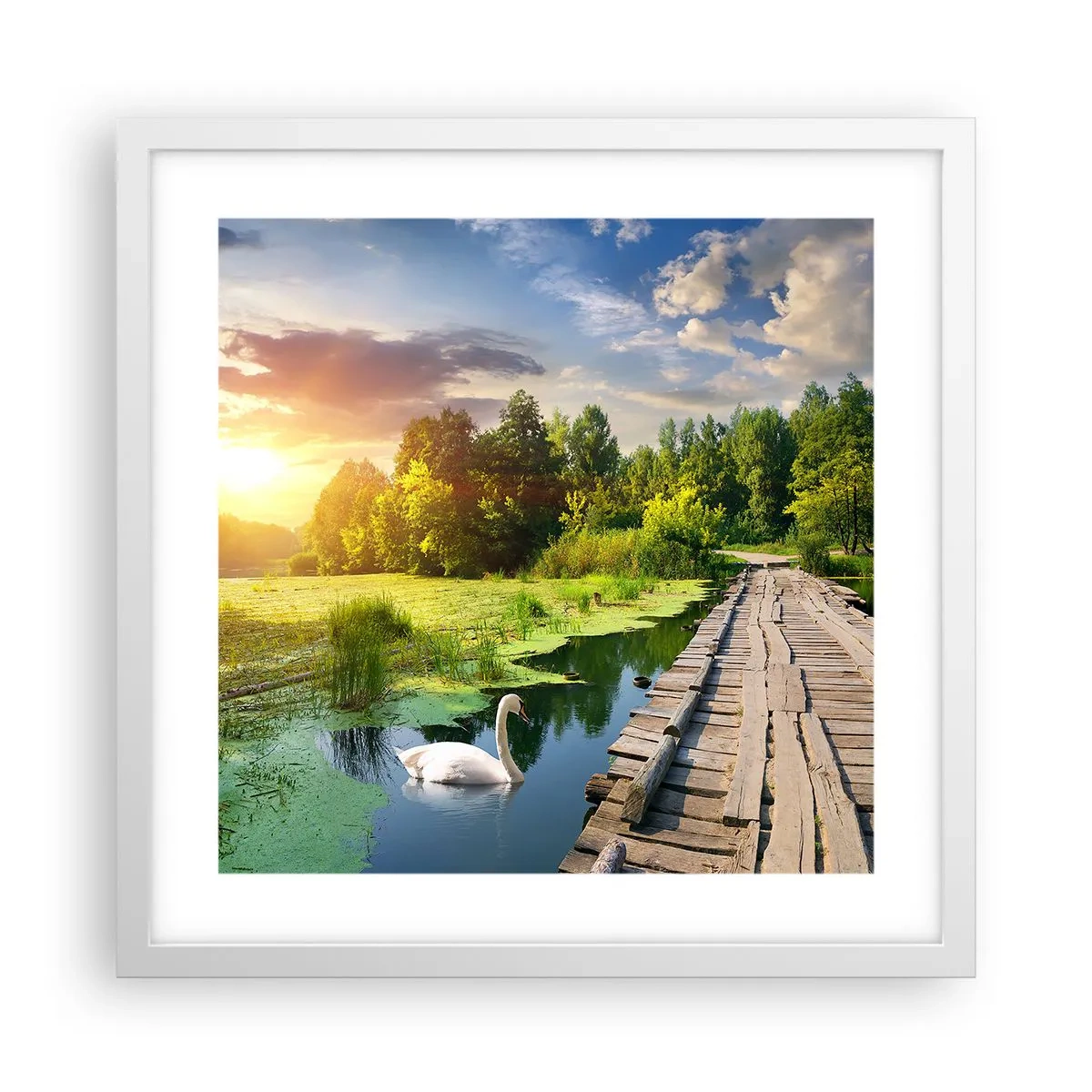 Poster în ramă albă - Vară, vară peste tot - 40x40 cm