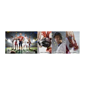 Mostră tapet Premium Canvas - Gladiatori ai terenului de joc - Sport, Atlet, Fotbal - 100x30 cm