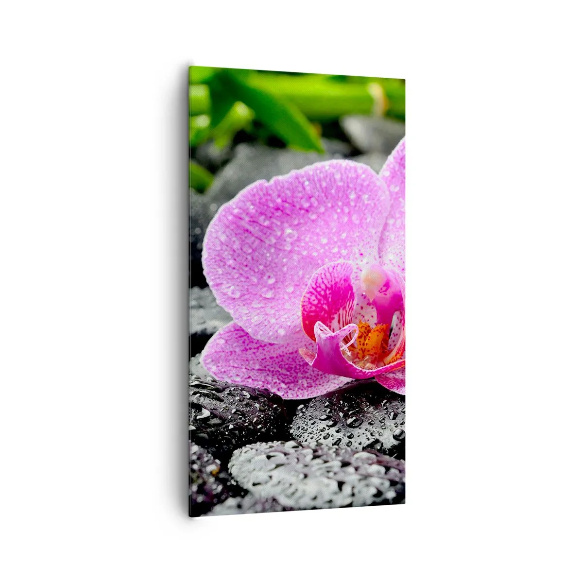 Tablou pe pânză - Ca o inimă deschisă - 65x120 cm