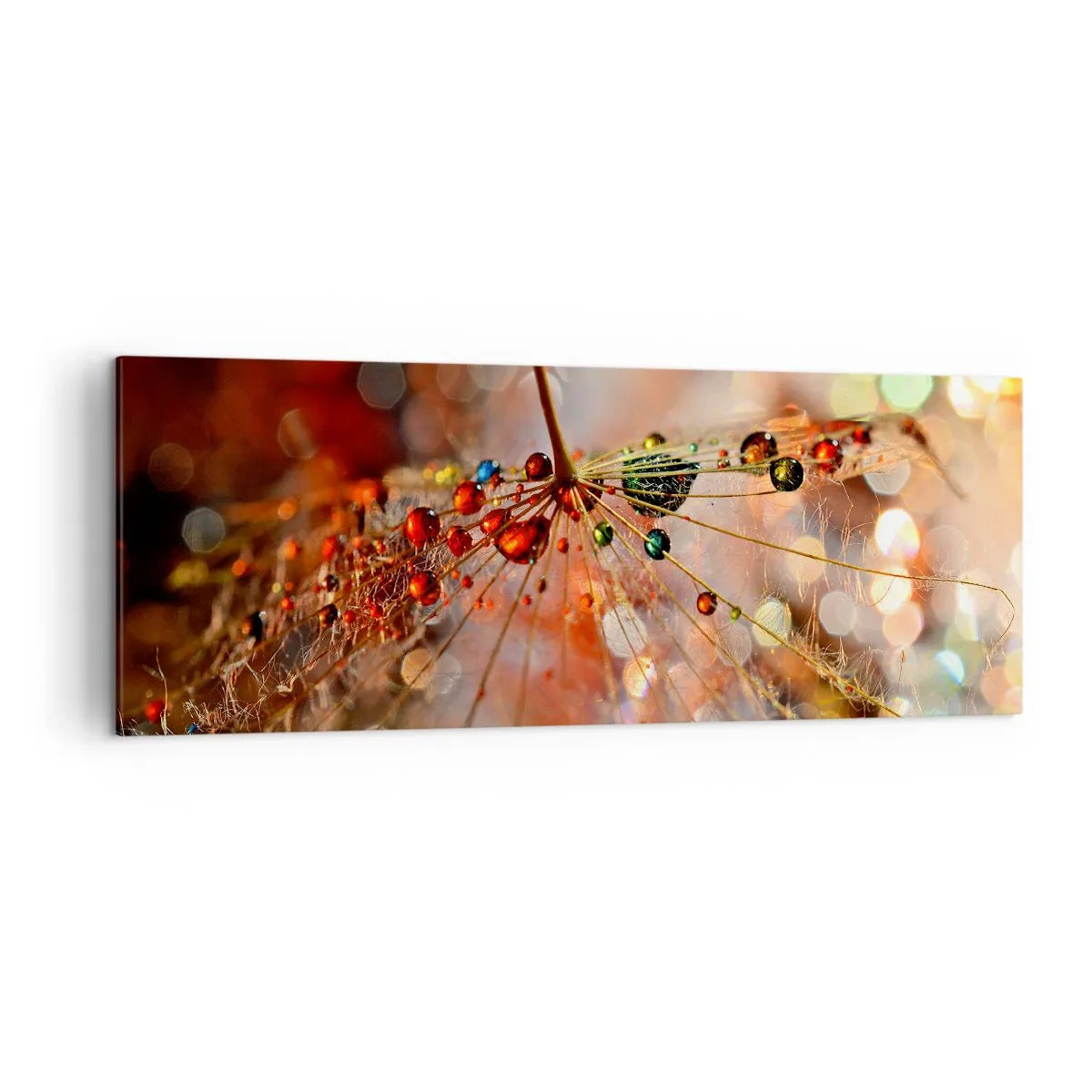 Tablou pe pânză - Înfipt pe pânza de păianjen - 140x50 cm