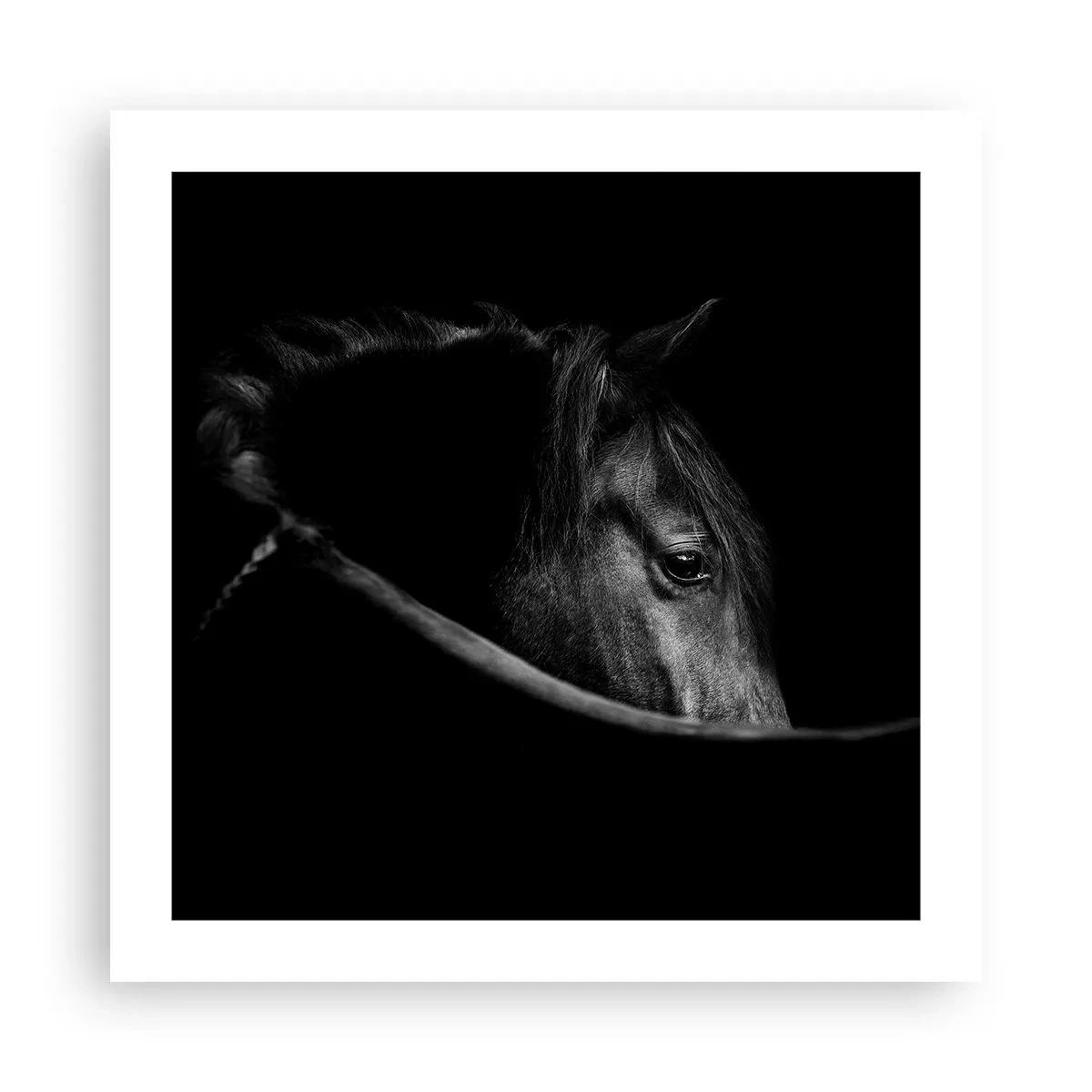 Poster - Prințul negru - 50x50 cm