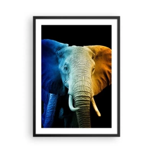 Poster în ramă neagră - O imagine colorată a unui elefant pe un fundal negru - 50x70cm - Excentric, nu ciudat - Decorațiune modernă pentru perete pentru living și dormitor ARTTOR