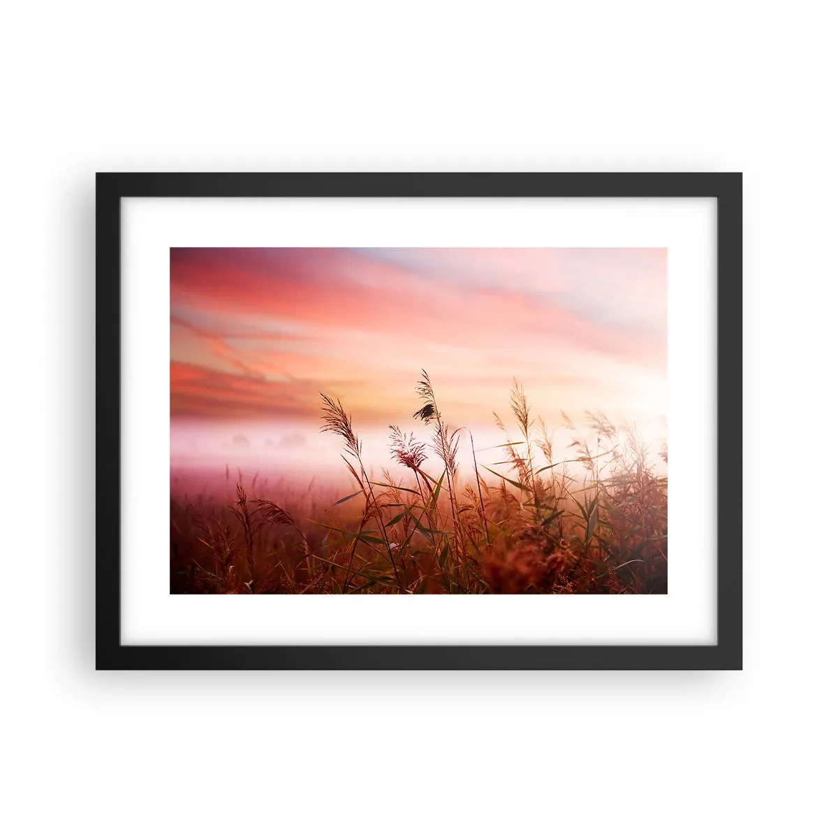 Poster în ramă neagră - Zmeuri, suflante, vânt - 40x30 cm