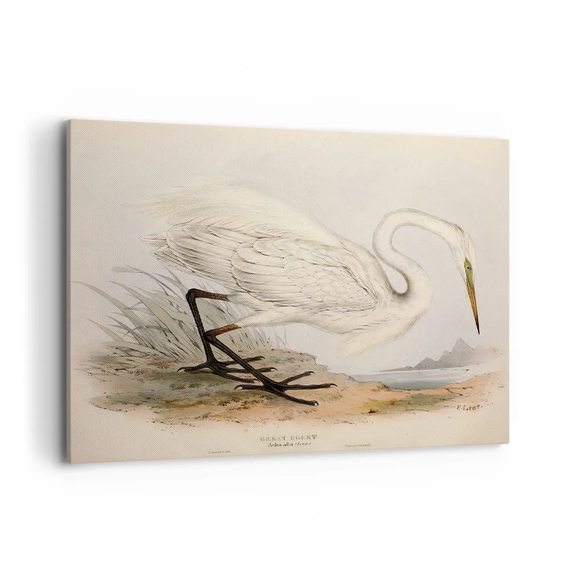 Tablou pe pânză - Doamna în stufărișuri - 100x70 cm