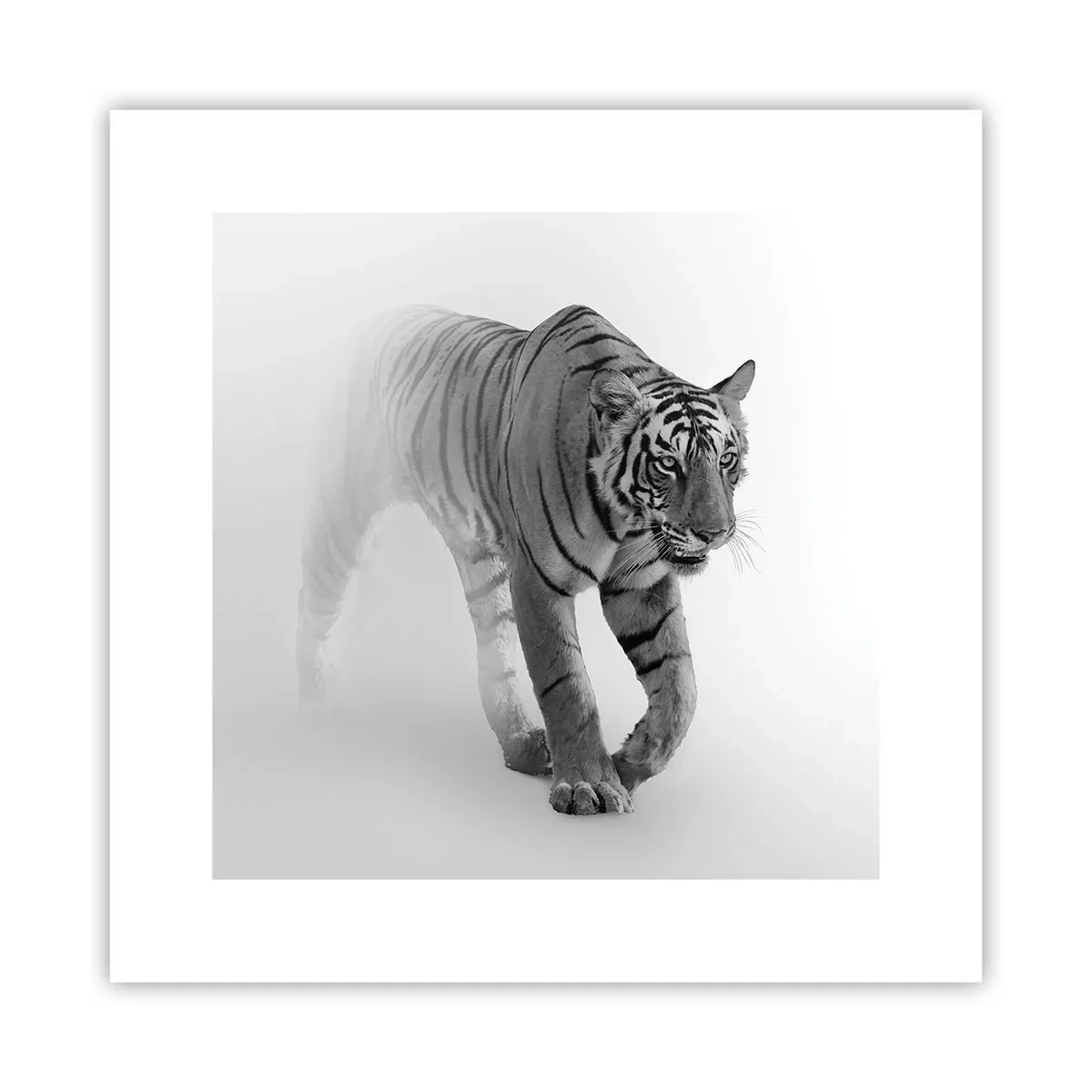 Poster - De veghe în ceață - 30x30 cm