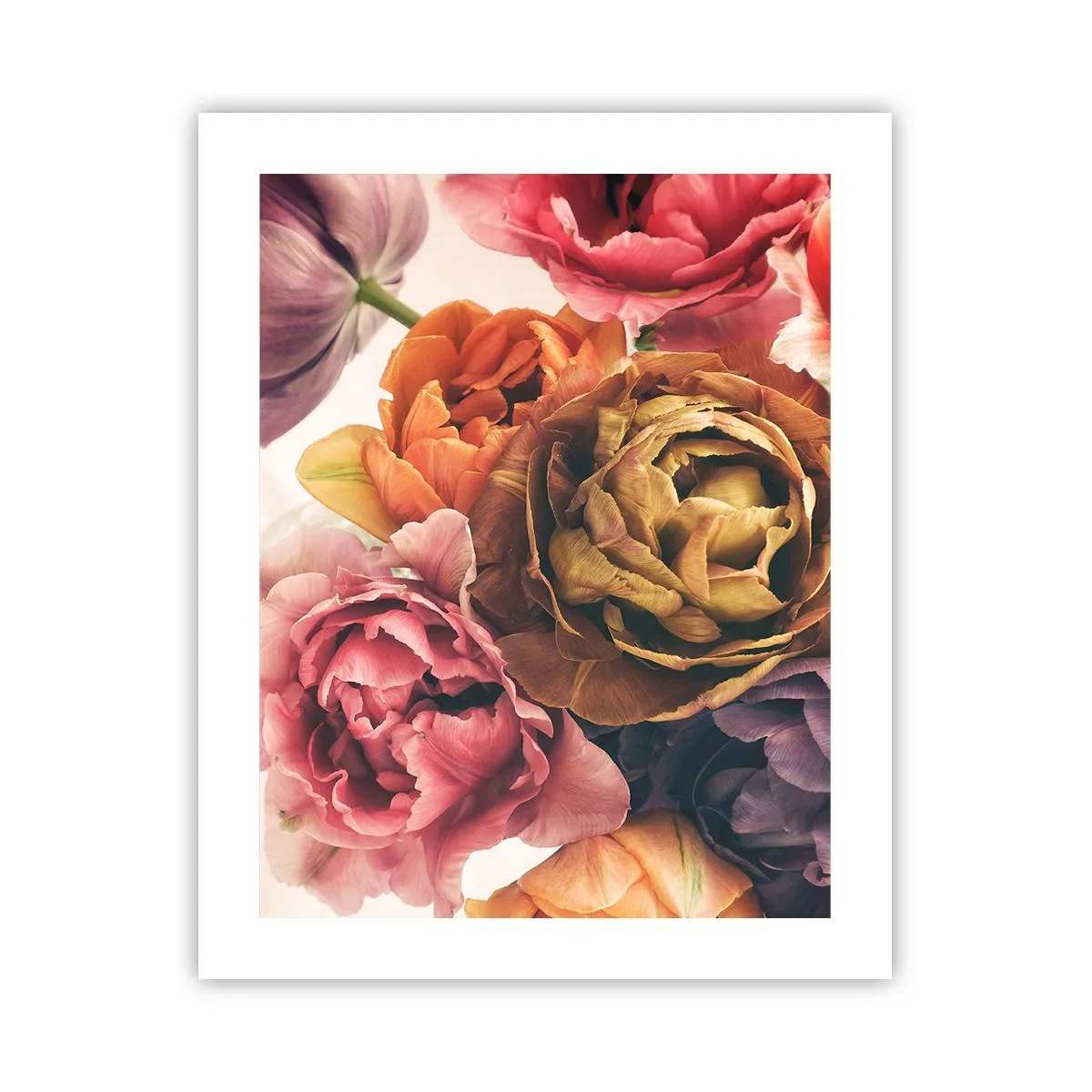 Poster - Sărbătorirea vieții - 40x50 cm