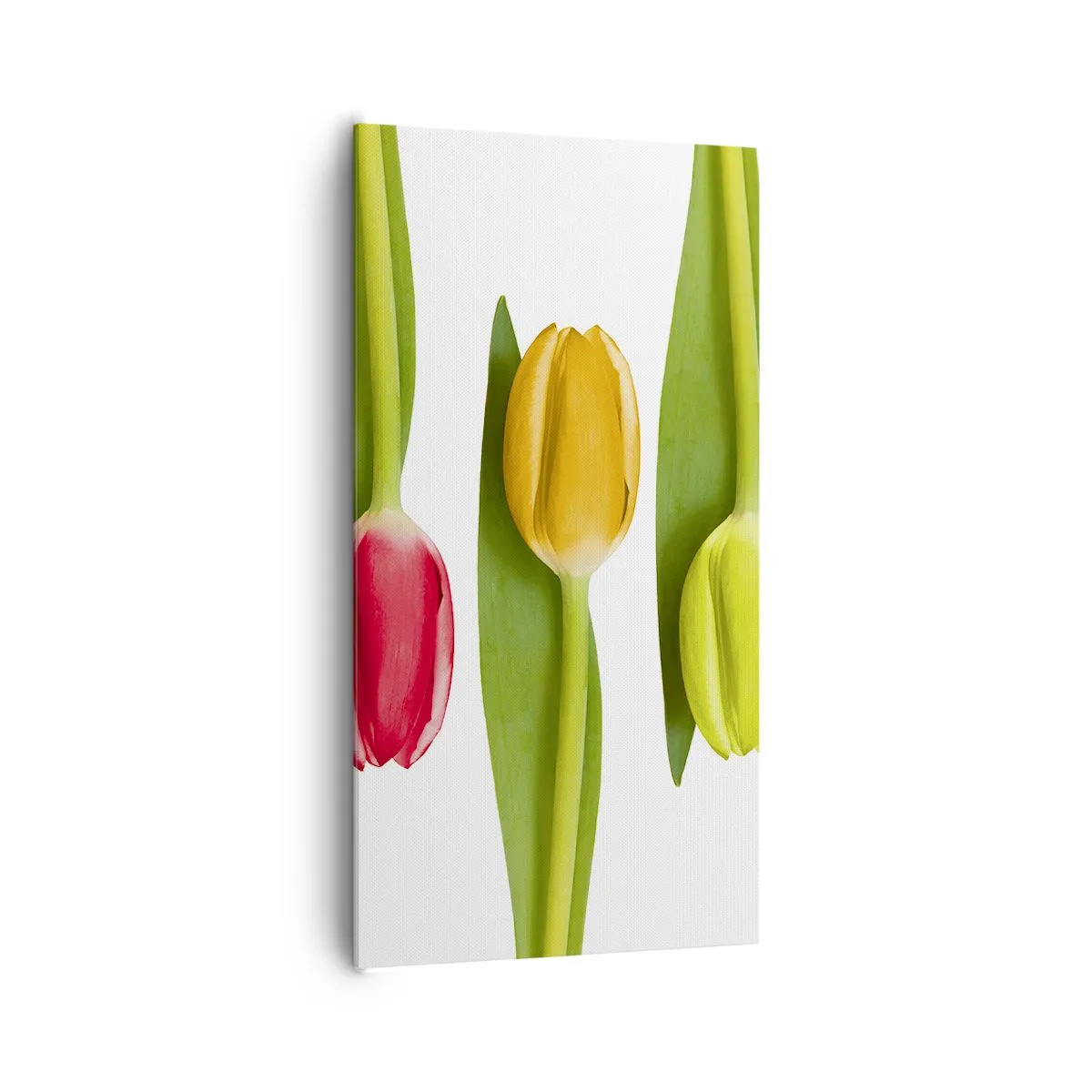 Tablou pe pânză - Compoziție curcubeu - 65x120 cm